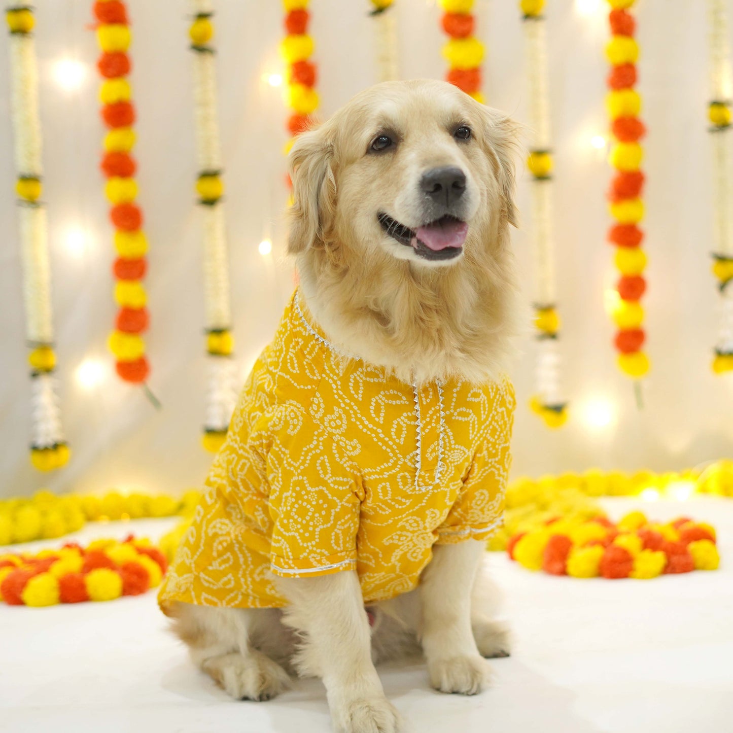 Yellow Bandhani Kurta