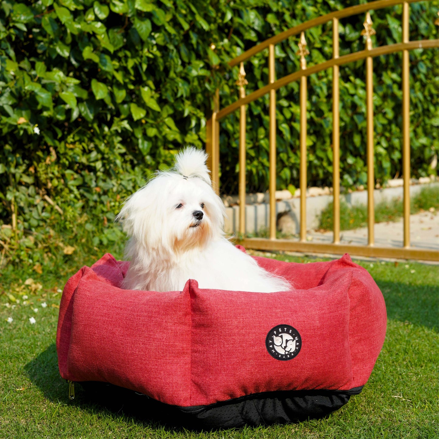 Hexagonal Bed Cherry