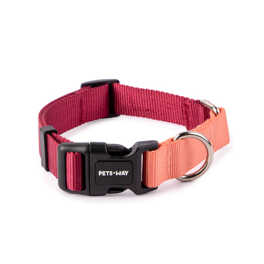 Petsway Wine Dual Color Dog Collar