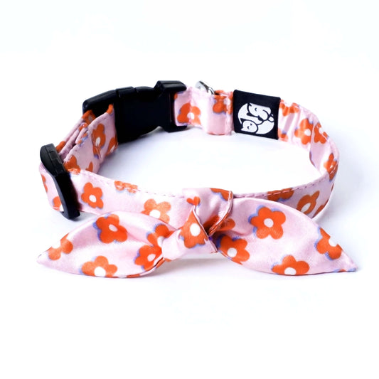 Petsway Pawfect Flower Puppy/Cat Collar