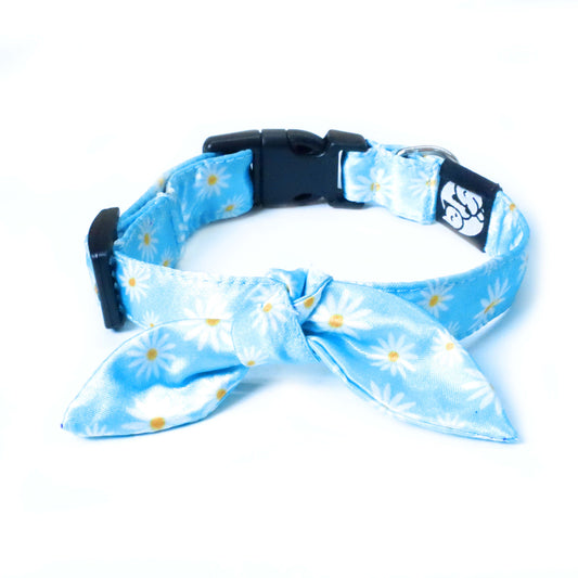 Petsway Daisy Print Puppy/Cat Collar