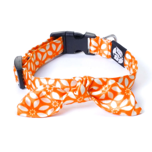 Petsway Rangoli Puppy/Cat Collar