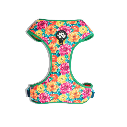 Petsway Spring Vest Harness