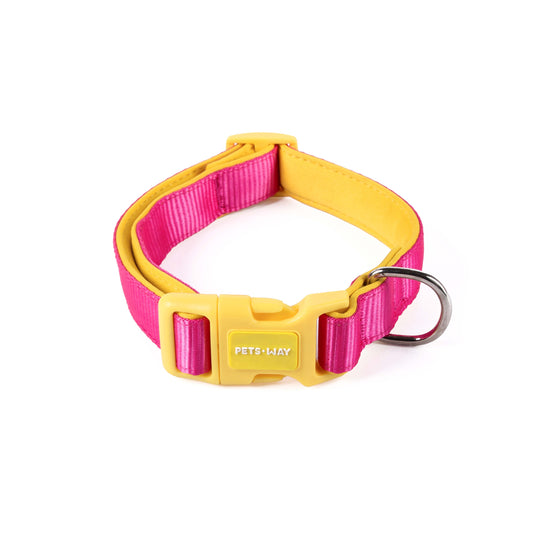 Petsway Yellow Fuchsia Dual Color Collar